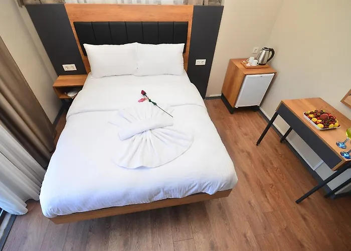 Hotell Grand Balyan & Restaurant Istanbul